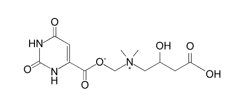 l carnitine orotate Medicinal Bio|Hepatotonics _ Carnitine Orotate|ChemKnock
