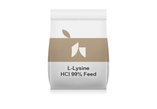 식품 바이오 - 사료용 라이신 Lysine