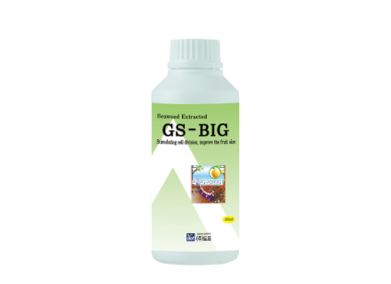 GS-Big