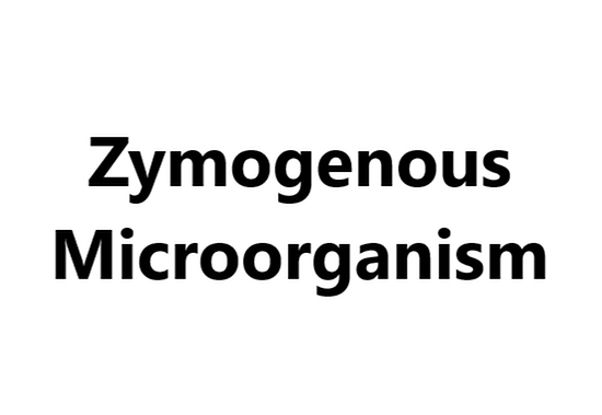 Deodorant_Zymogenous Microorganism