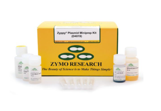 DNA Purification _ Zyppy Plasmid Miniprep Kit
