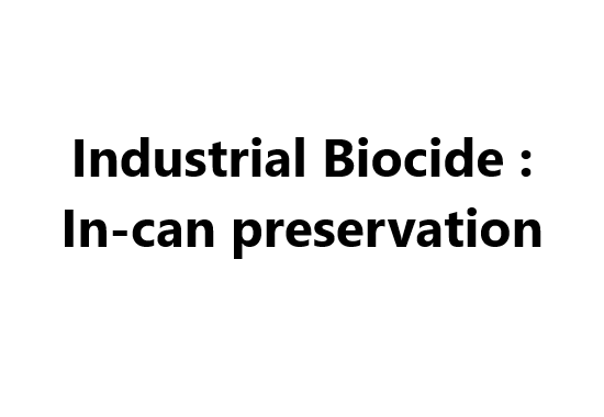Industrial Biocide : In-can preservation